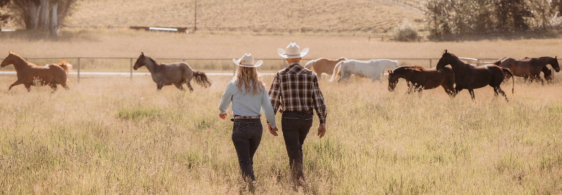 A couple in cowboy hats walks hand-in-hand through a field with horses grazing in the background.