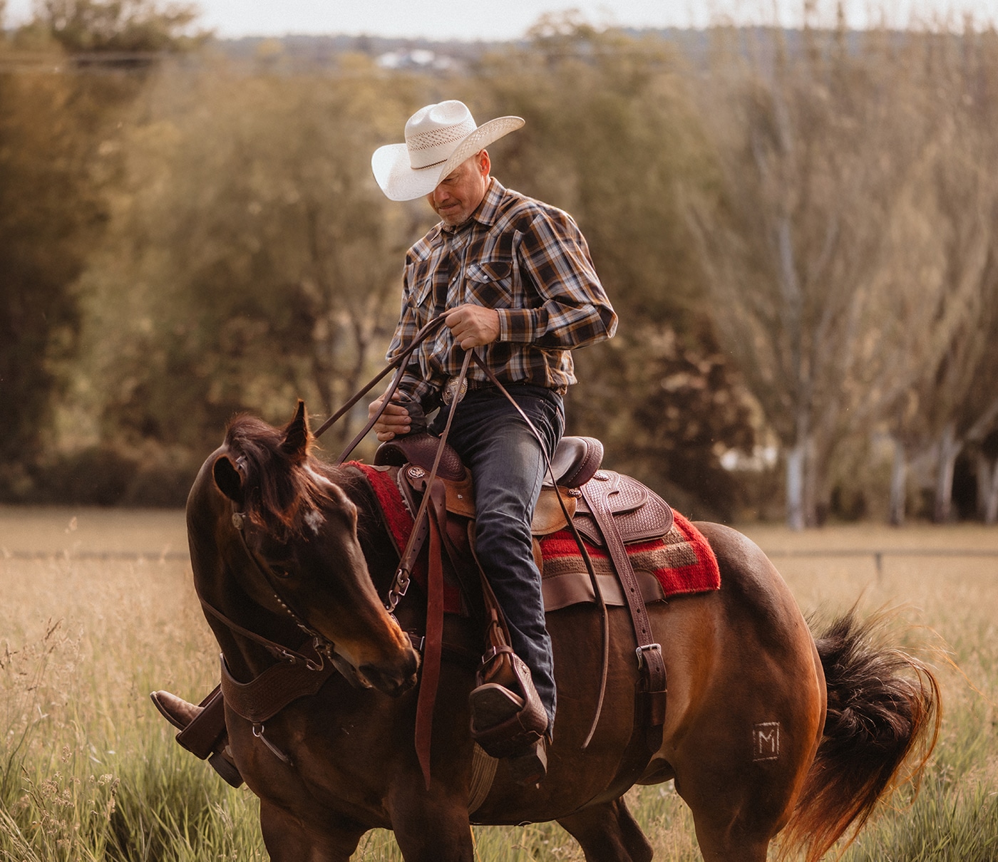 A cowboy in a plaid shirt and white hat rides a brown horse in a grassy field.